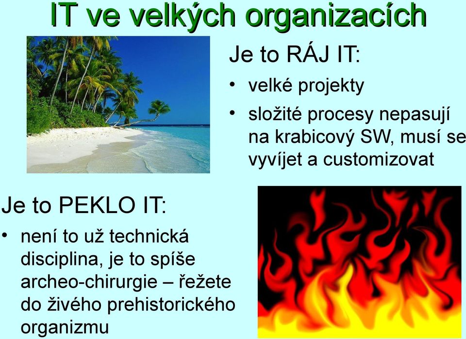 customizovat Je to PEKLO IT: není to už technická disciplina,