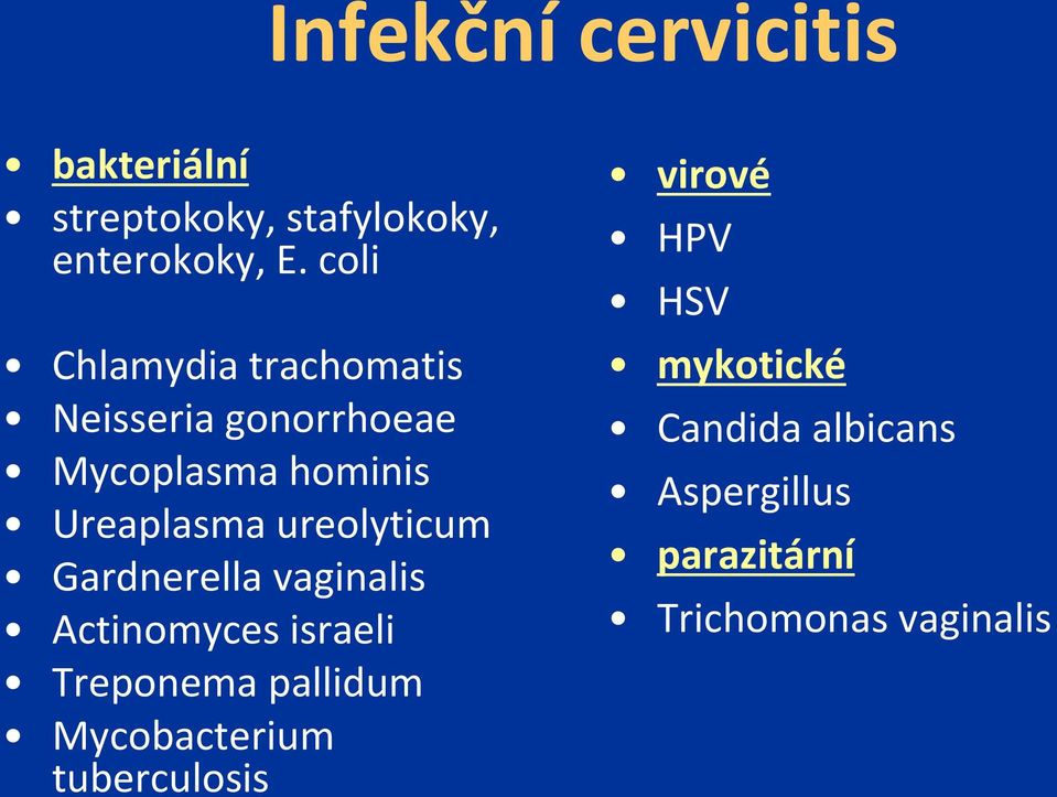 ureolyticum Gardnerella vaginalis Actinomyces israeli Treponema pallidum