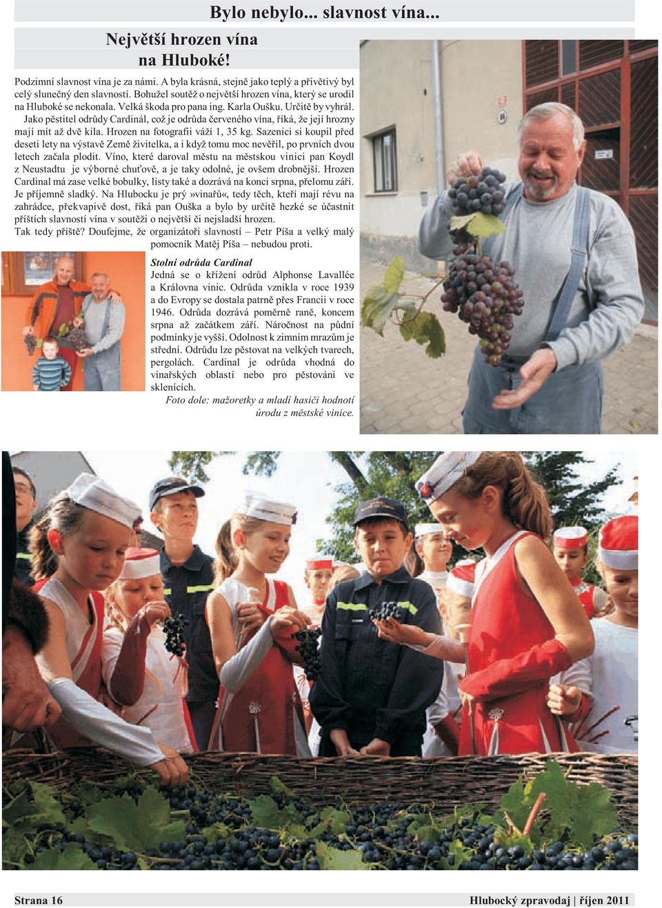 Jako pìstitel odrùdy Cardinál, což je odrùda èerveného vína, øíká, že její hrozny mají mít až dvì kila. Hrozen na fotografii váží 1, 35 kg.