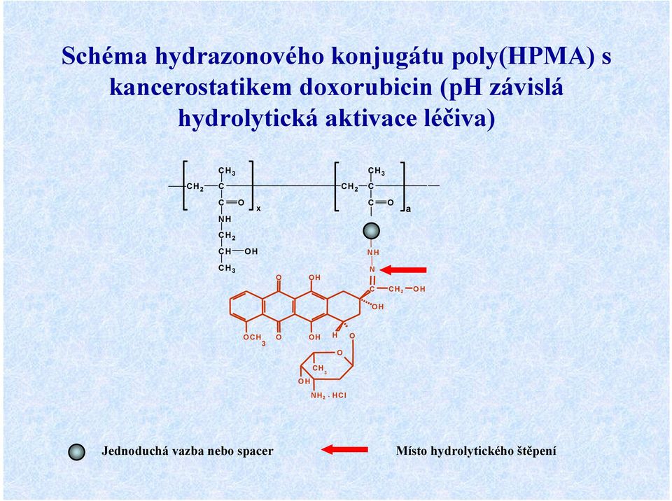 aktivace léčiva) H2 O x O a H OH N H O OH N O H OH O H O