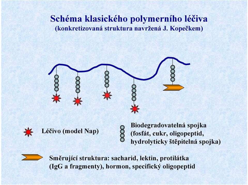 oligopeptid, hydrolyticky štěpitelná spojka) Směrující struktura: