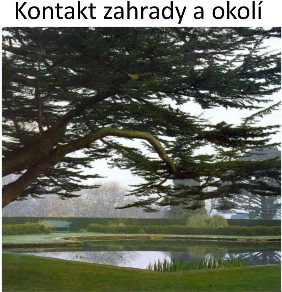 okolí