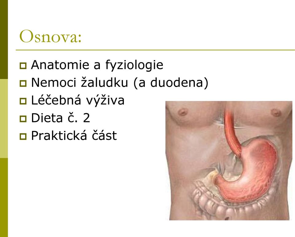 ţaludku (a duodena)