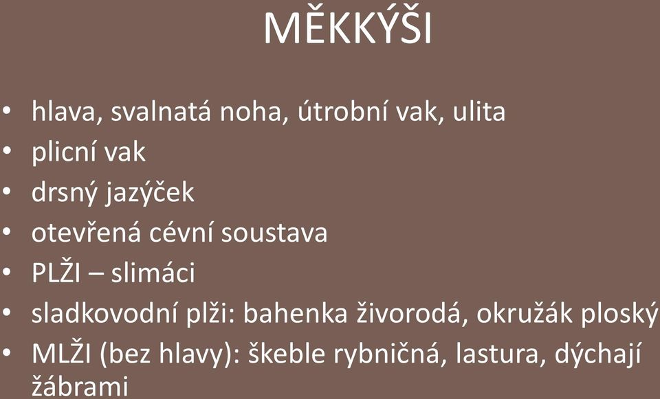 sladkovodní plži: bahenka živorodá, okružák ploský MLŽI