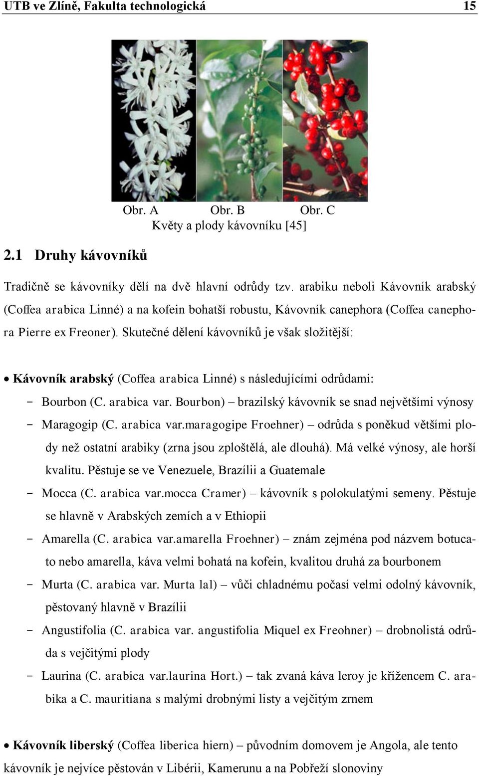 Skutečné dělení kávovníků je však sloţitější: Kávovník arabský (Coffea arabica Linné) s následujícími odrůdami: - Bourbon (C. arabica var.