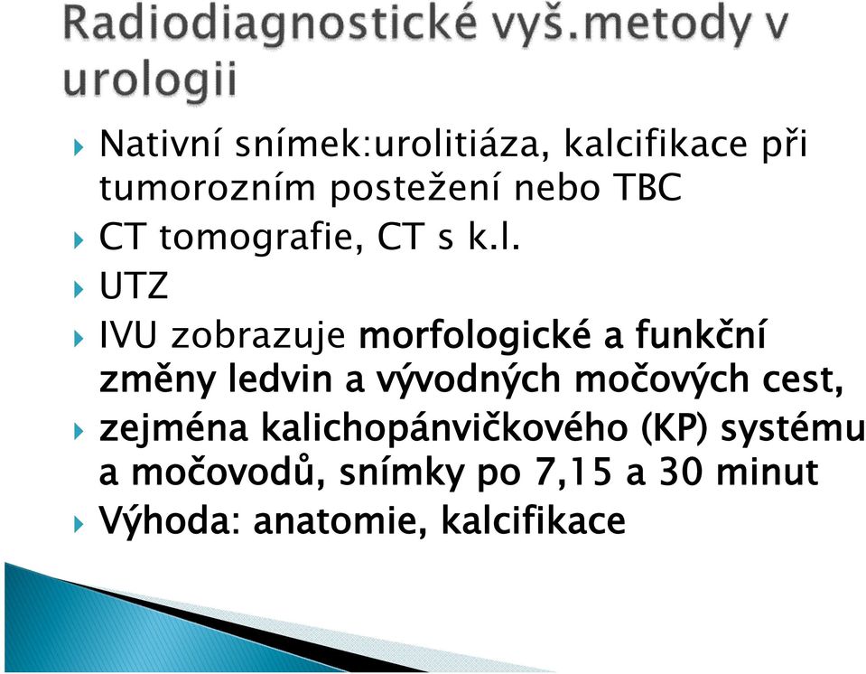 UTZ IVU zobrazuje morfologické a funkční změny ledvin a vývodných