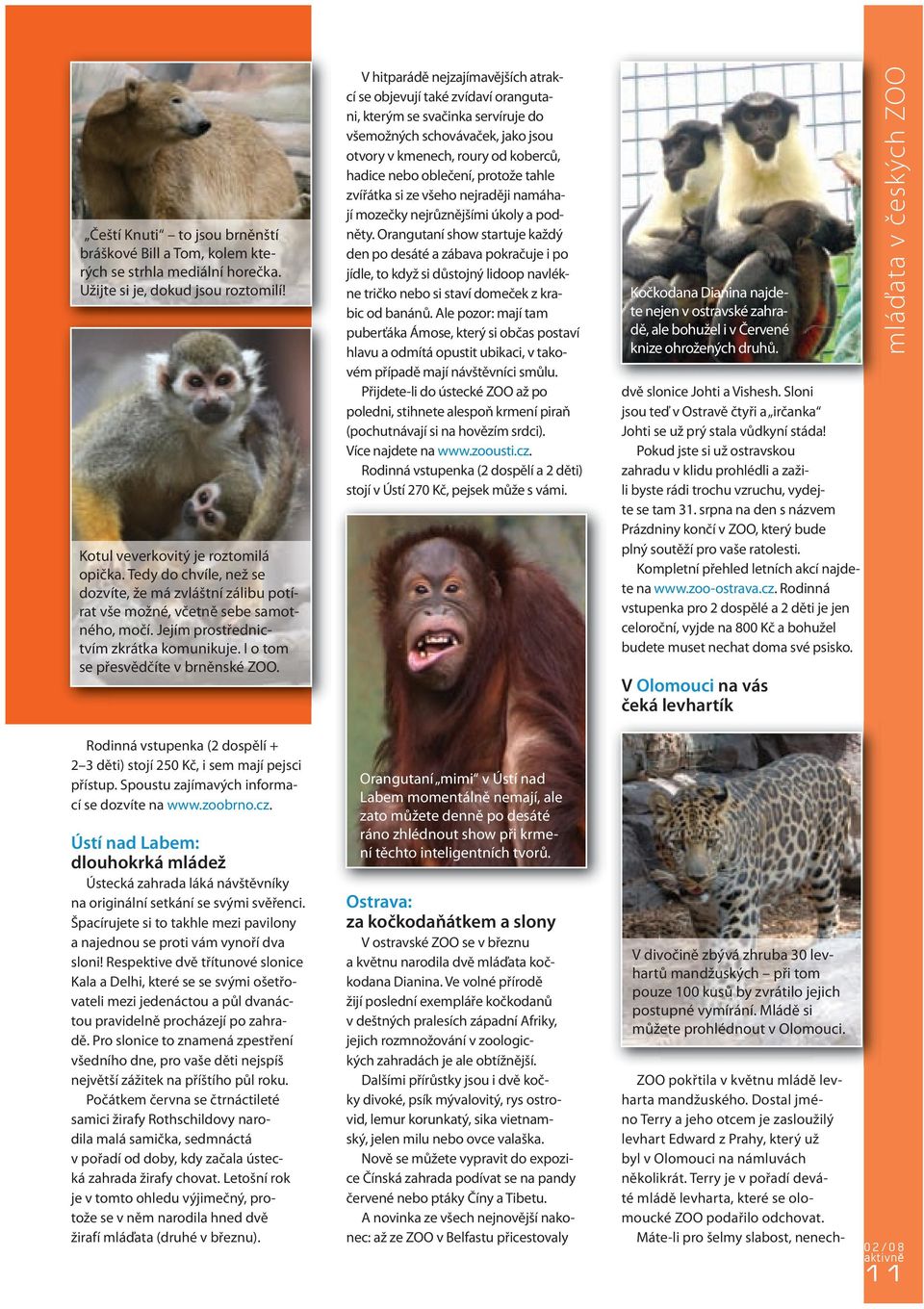 V hitparádě nejzajímavějších atrakcí se objevují také zvídaví orangutani, kterým se svačinka servíruje do všemožných schovávaček, jako jsou otvory v kmenech, roury od koberců, hadice nebo oblečení,