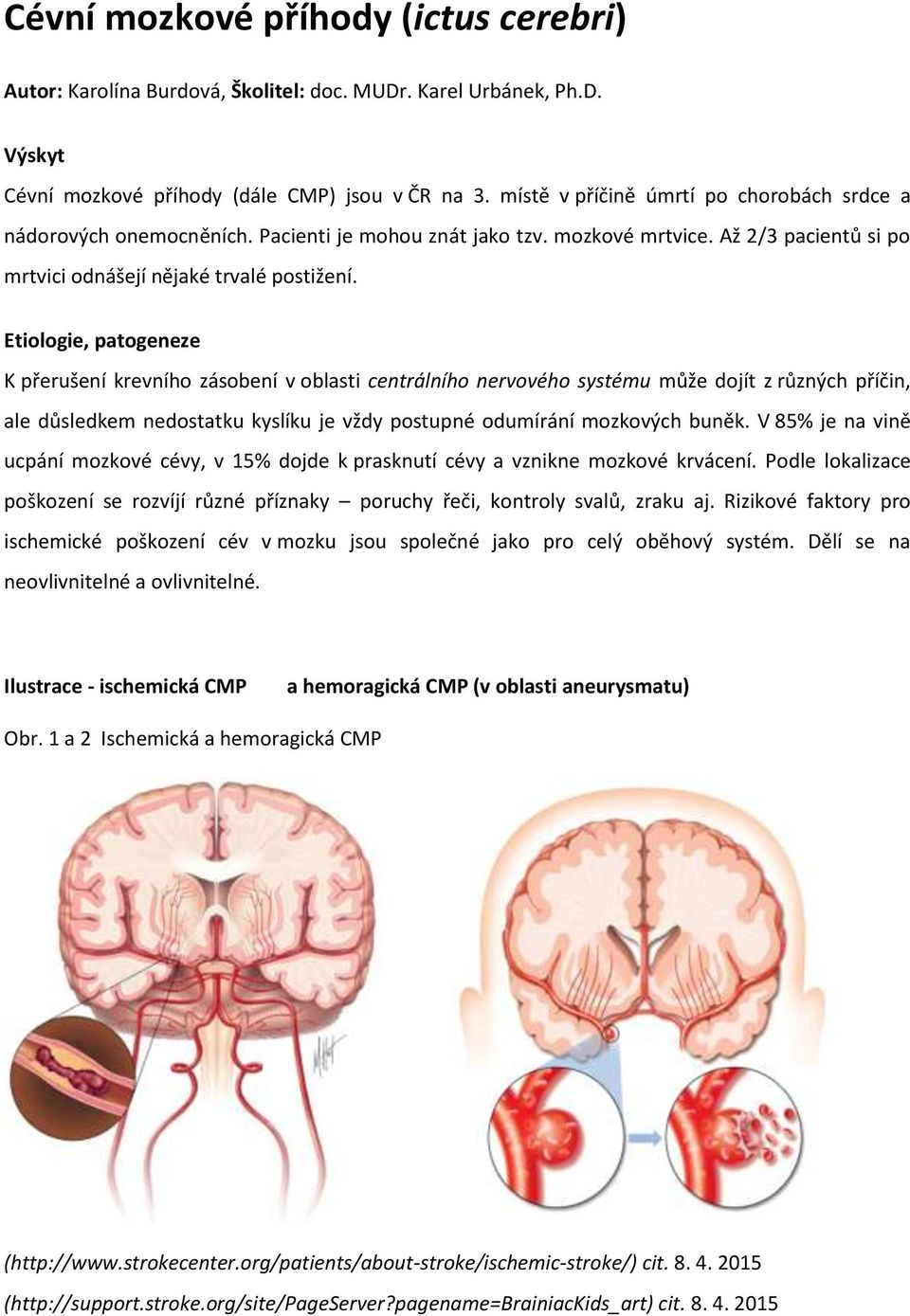 Etiologie, patogeneze K přerušení krevního zásobení v oblasti centrálního nervového systému může dojít z různých příčin, ale důsledkem nedostatku kyslíku je vždy postupné odumírání mozkových buněk.