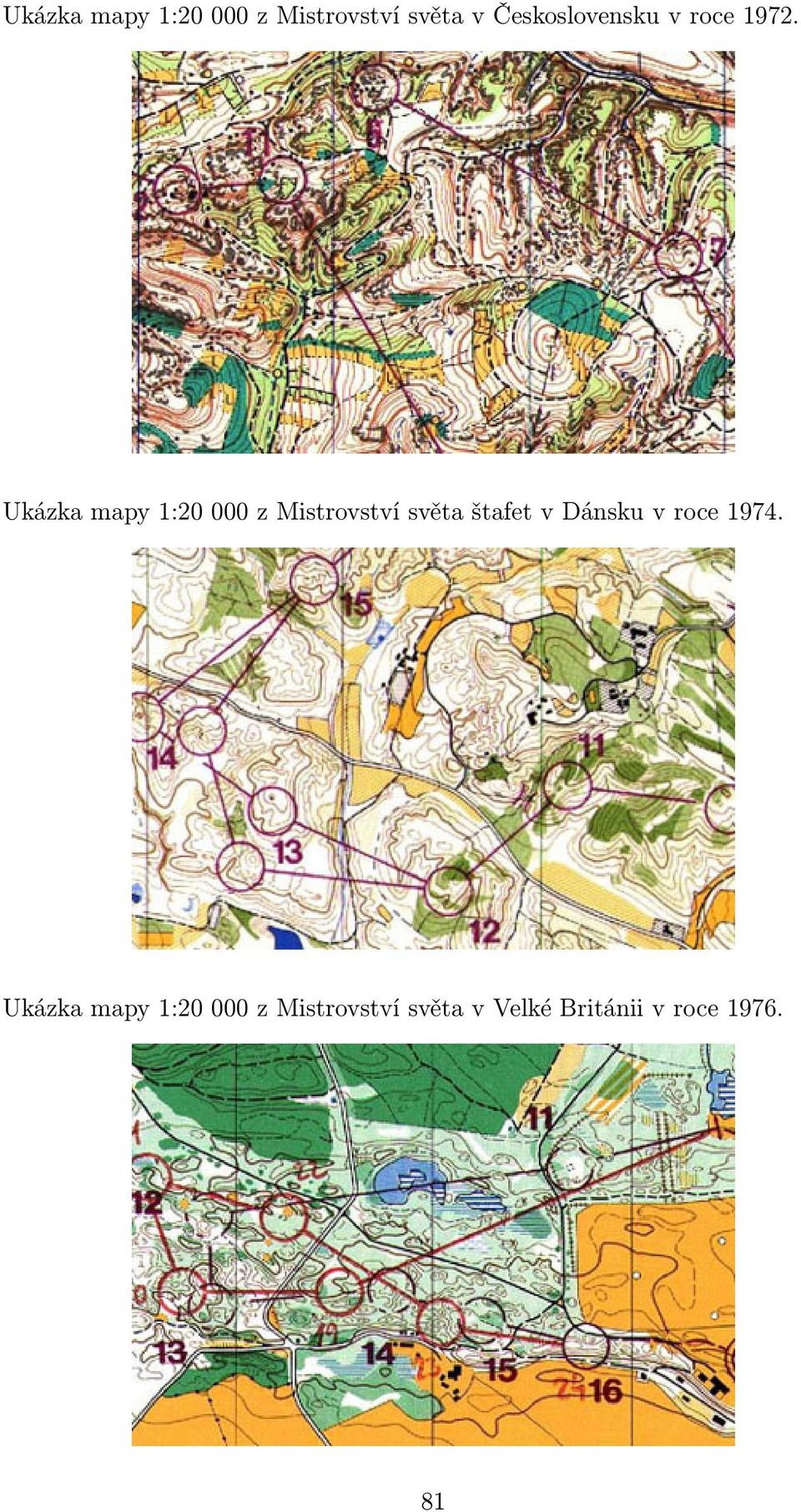 Ukázka mapy 1:20 000 z Mistrovství světa štafet v