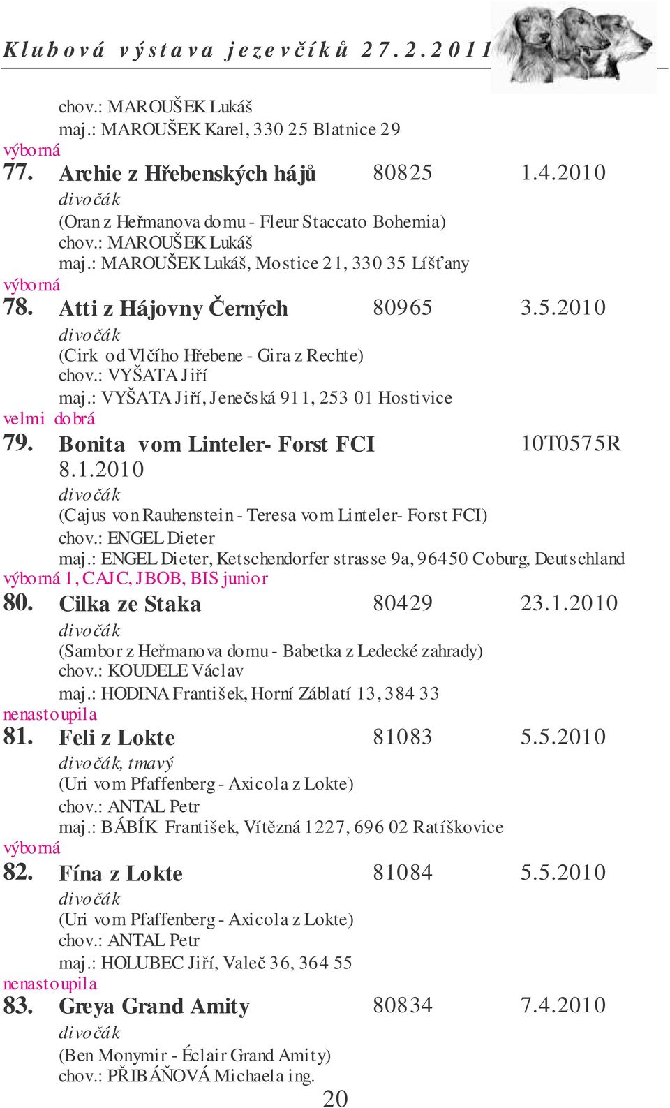 1.2010 (Cajus von Rauhenstein - Teresa vom Linteler- Forst FCI) chov.: ENGEL Dieter maj.: ENGEL Dieter, Ketschendorfer strasse 9a, 96450 Coburg, Deutschland výborná 1, CAJC, JBOB, BIS junior 80.