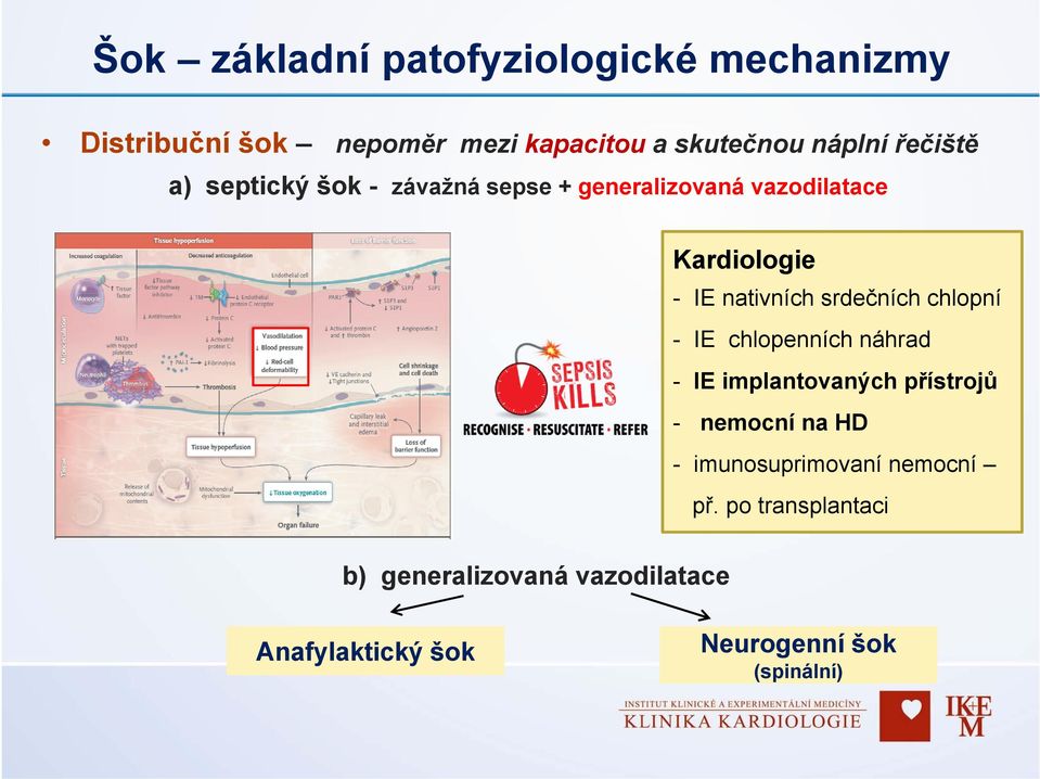 srdečních chlopní - IE chlopenních náhrad - IE implantovaných přístrojů - nemocní na HD -