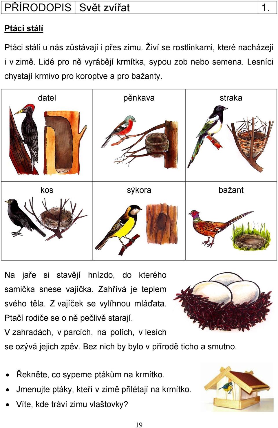 datel pěnkava straka kos sýkora bažant Na jaře si stavějí hnízdo, do kterého samička snese vajíčka. Zahřívá je teplem svého těla. Z vajíček se vylíhnou mláďata.