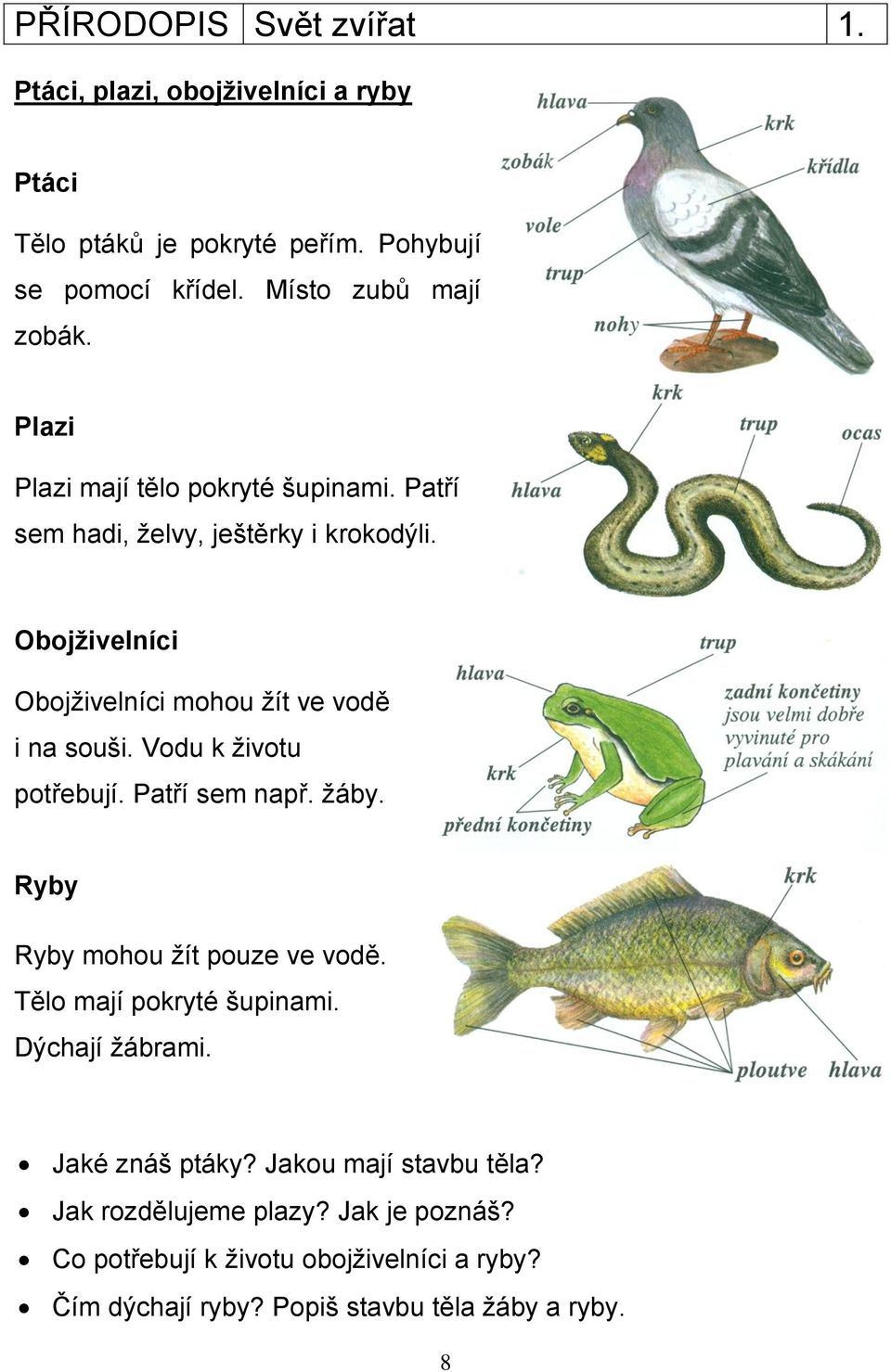 Vodu k životu potřebují. Patří sem např. žáby. Ryby Ryby mohou žít pouze ve vodě. Tělo mají pokryté šupinami. Dýchají žábrami. Jaké znáš ptáky?