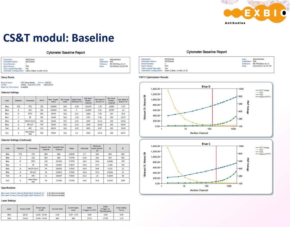 Baseline