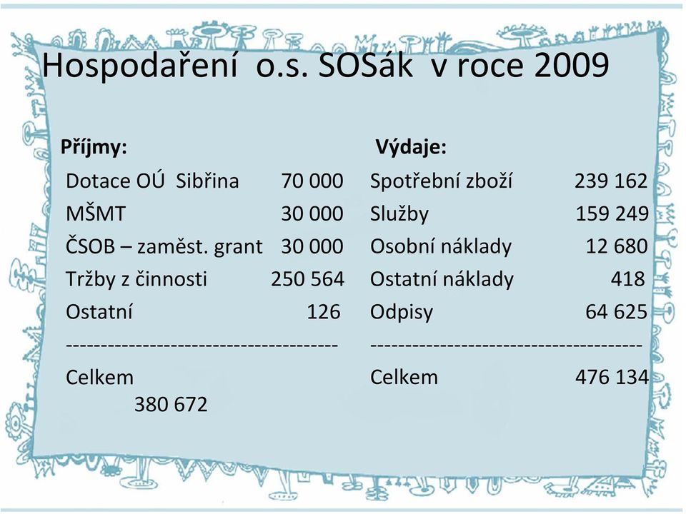 grant 30 000 Tržby z činnosti 250 564 Ostatní 126 Celkem 380 672