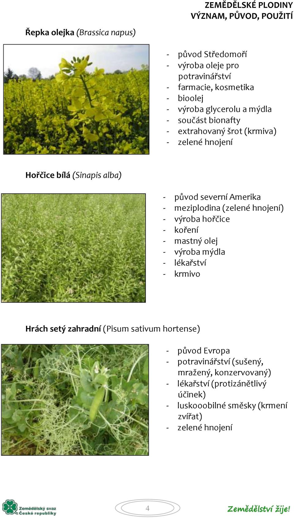 hnojení) - výroba hořčice - koření - mastný olej - výroba mýdla - lékařství - krmivo Hrách setý zahradní (Pisum sativum hortense) - původ