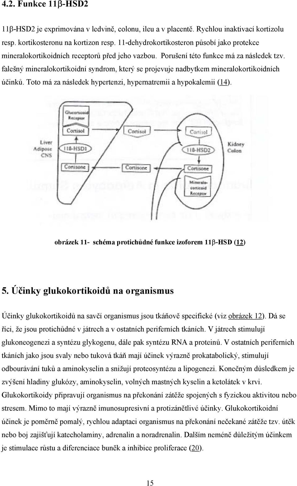 falešný mineralokortikoidní syndrom, který se projevuje nadbytkem mineralokortikoidních účinků. Toto má za následek hypertenzi, hypernatremii a hypokalemii (14).