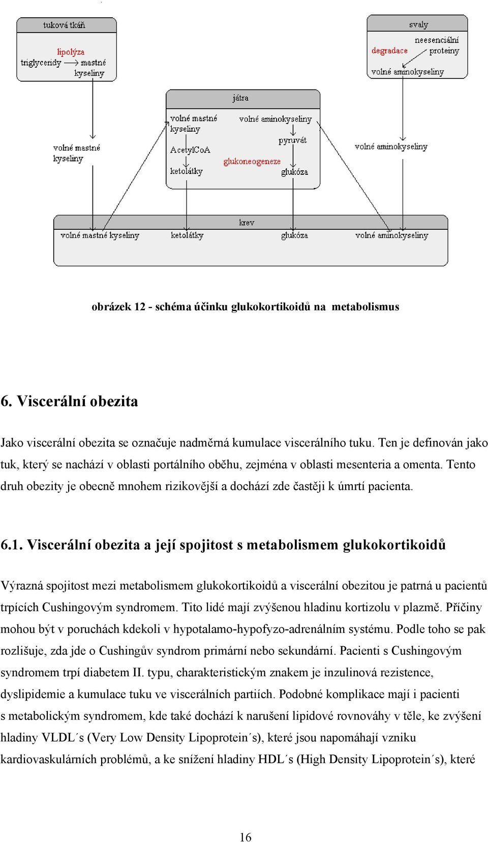 6.1. Viscerální obezita a její spojitost s metabolismem glukokortikoidů Výrazná spojitost mezi metabolismem glukokortikoidů a viscerální obezitou je patrná u pacientů trpících Cushingovým syndromem.