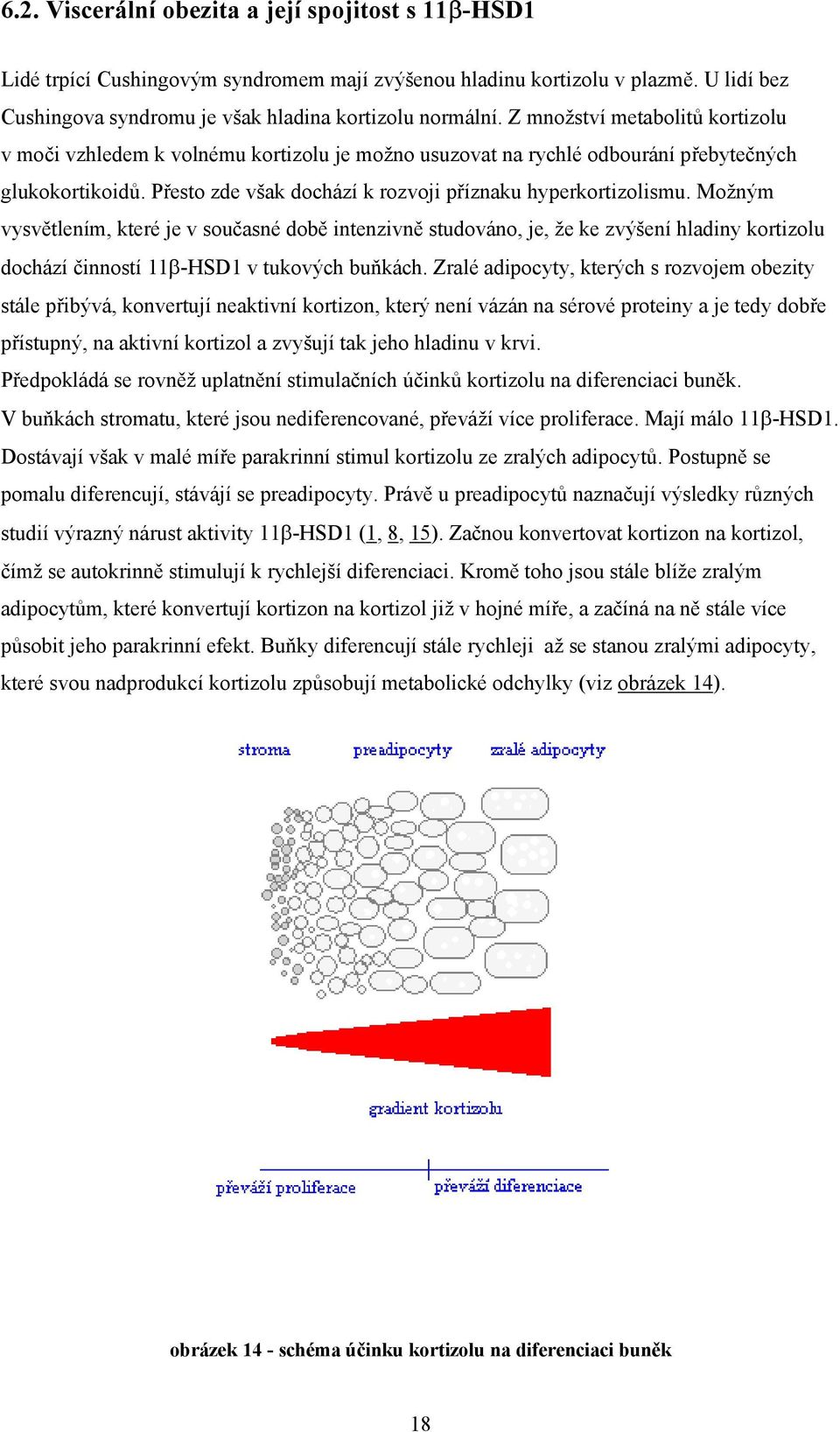 Možným vysvětlením, které je v současné době intenzivně studováno, je, že ke zvýšení hladiny kortizolu dochází činností 11β-HSD1 v tukových buňkách.