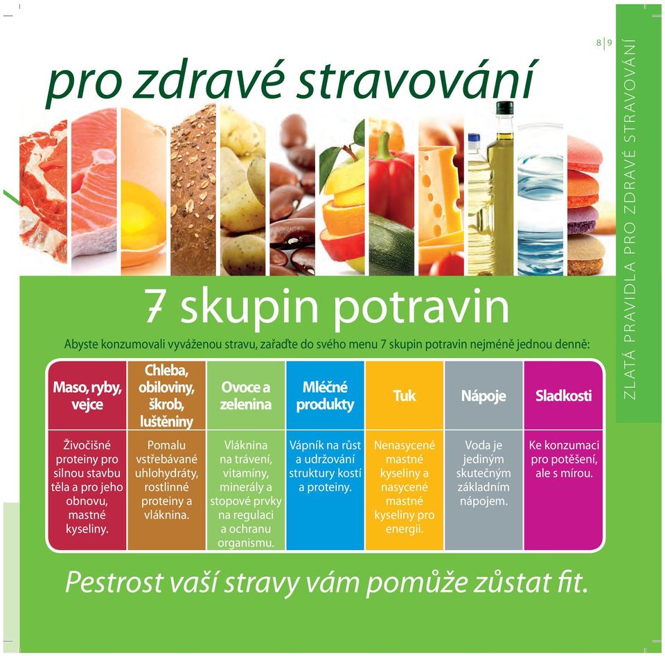 rostlinné proteiny a vláknina. Ovoce a zelenina Vláknina na trávení, vitamíny, minerály a stopové prvky na regulaci a ochranu organismu.