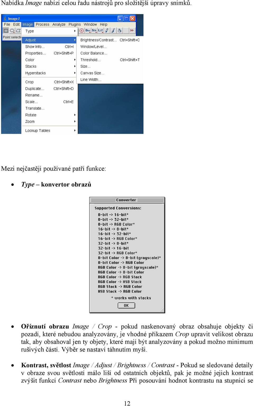 analyzovány, je vhodné příkazem Crop upravit velikost obrazu tak, aby obsahoval jen ty objety, které mají být analyzovány a pokud možno minimum rušivých částí.