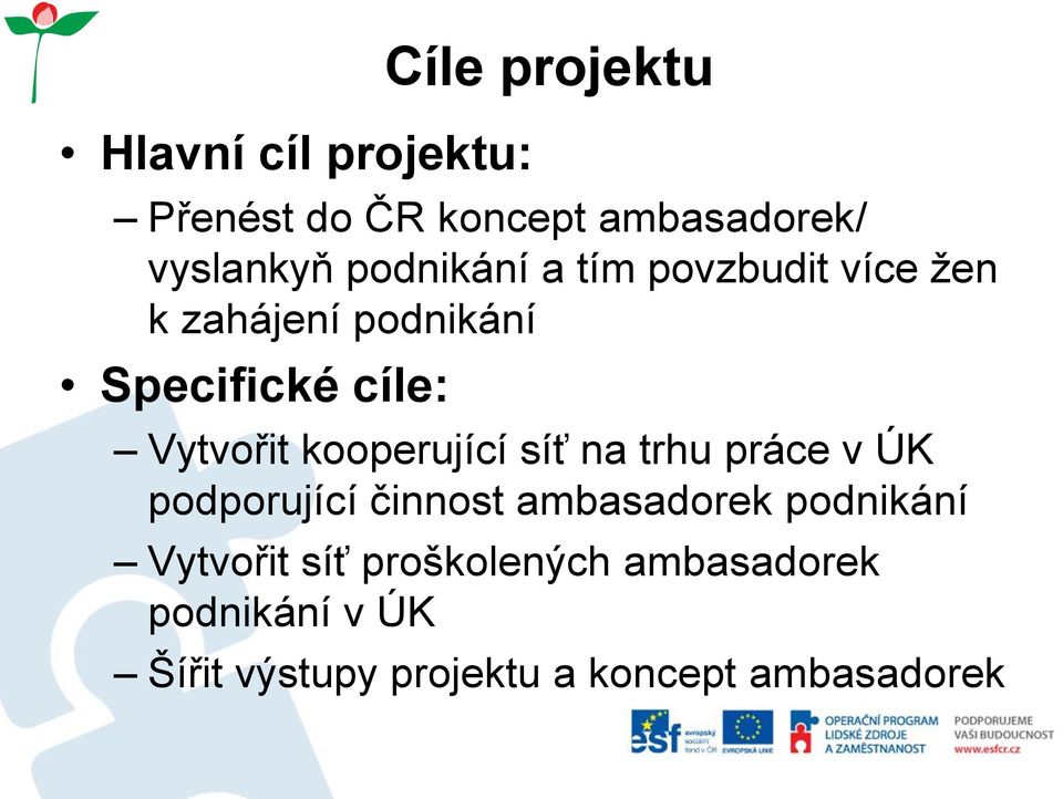 kooperující síť na trhu práce v ÚK podporující činnost ambasadorek podnikání