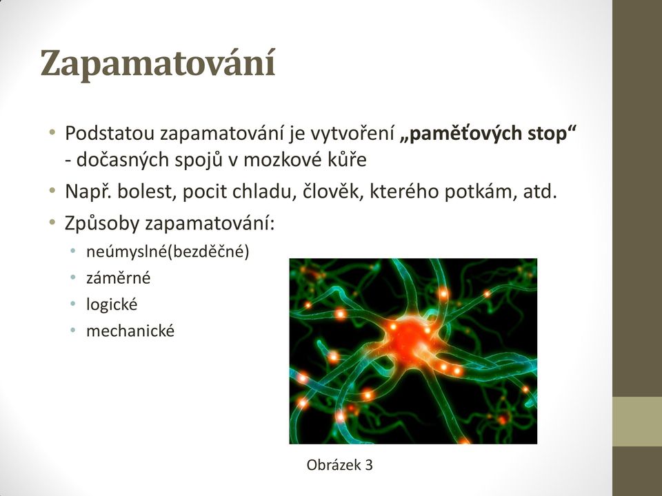 bolest, pocit chladu, člověk, kterého potkám, atd.
