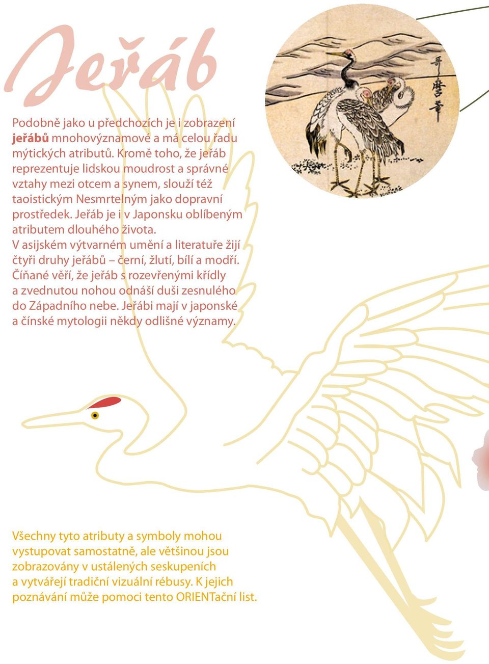 Jeřáb je i v Japonsku oblíbeným atributem dlouhého života. V asijském výtvarném umění a literatuře žijí čtyři druhy jeřábů černí, žlutí, bílí a modří.