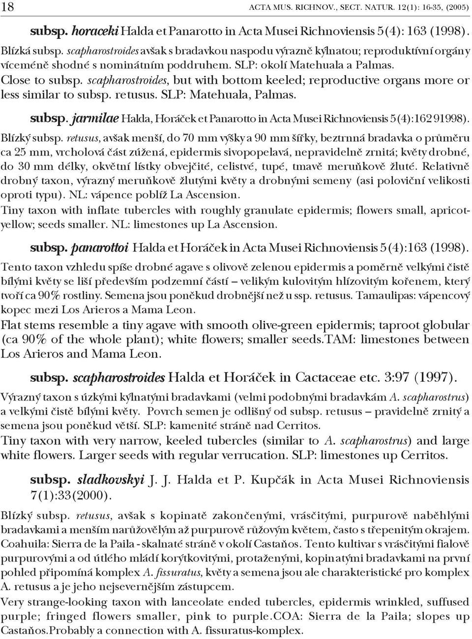 scapharostroides, but with bottom keeled; reproductive organs more or less similar to subsp. retusus. SLP: Matehuala, Palmas. subsp. jarmilae Halda, Horáček et Panarotto in Acta Musei Richnoviensis 5(4):162 91998).