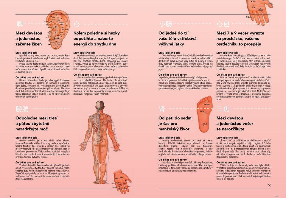 těle. Pokud slezina dobře funguje, trávení, vstřebávání látek a kvali-ta krve jsou také v pořádku, proto jsou rty krásně načervenalé. V opačném případě jsou rty tmavé nebo bílé či dokonce fialové.