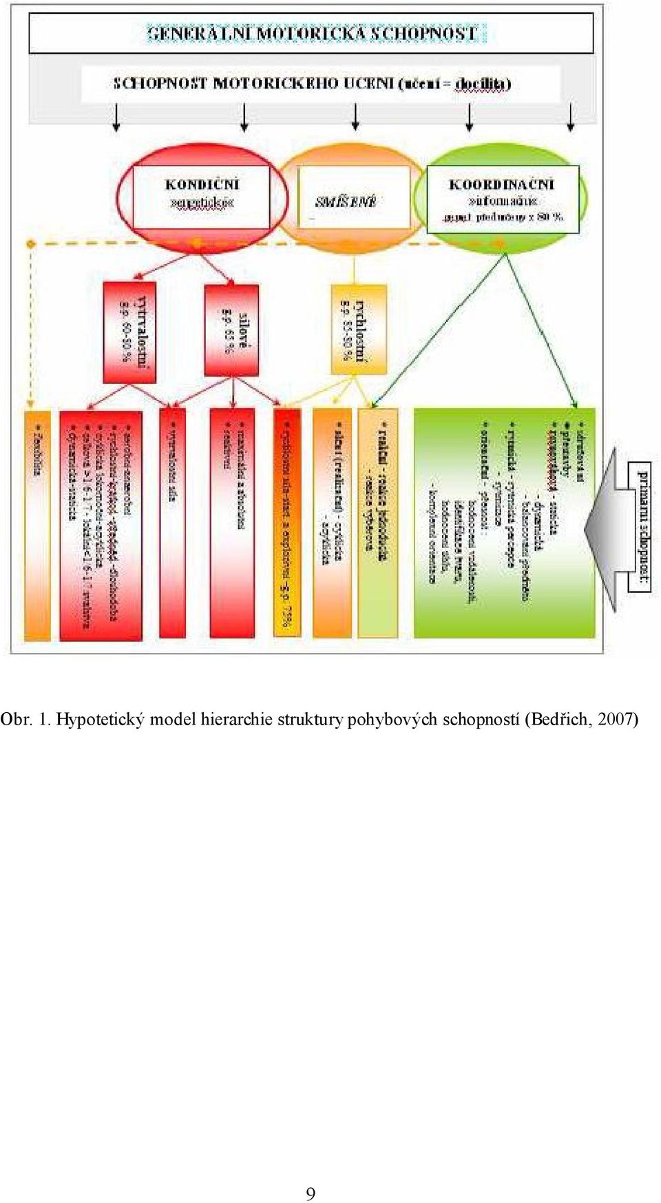 hierarchie struktury