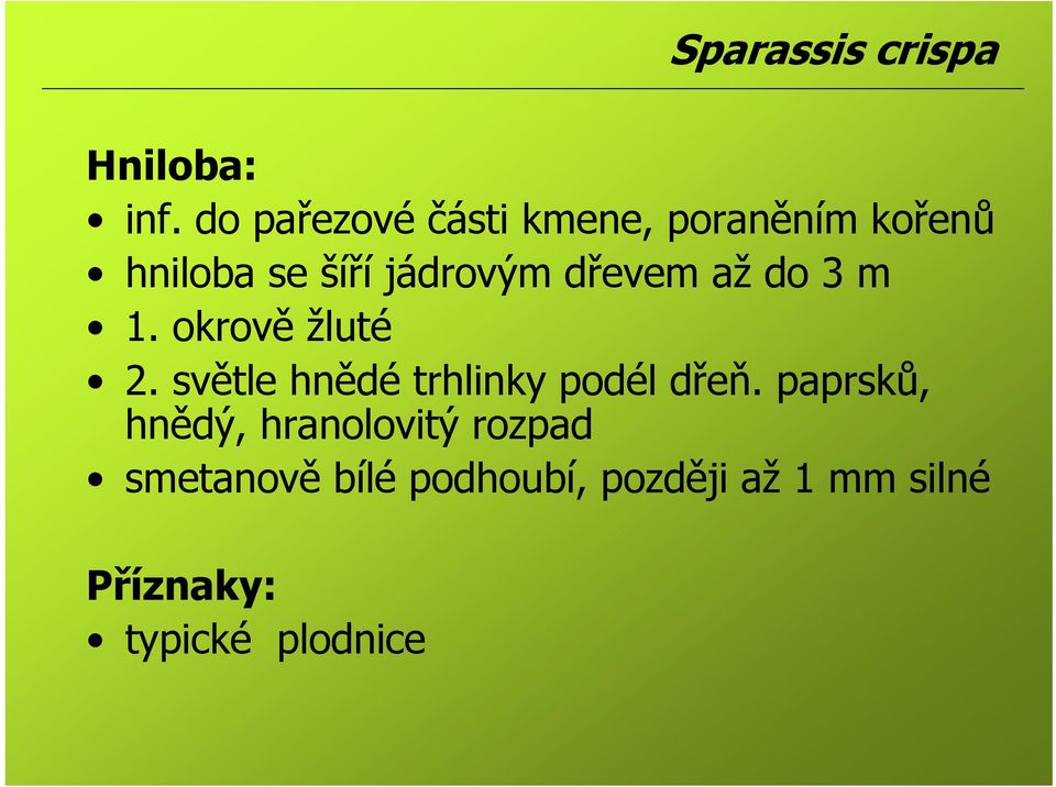 dřevem až do 3 m 1. okrově žluté 2. světle hnědé trhlinky podél dřeň.