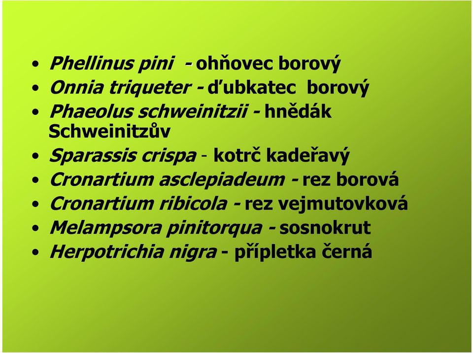 kadeřavý Cronartium asclepiadeum - rez borová Cronartium ribicola - rez