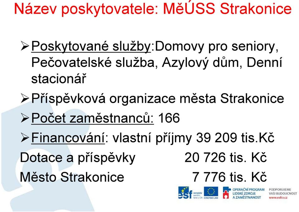 organizace města Strakonice Počet zaměstnanců: 166 Financování: vlastní