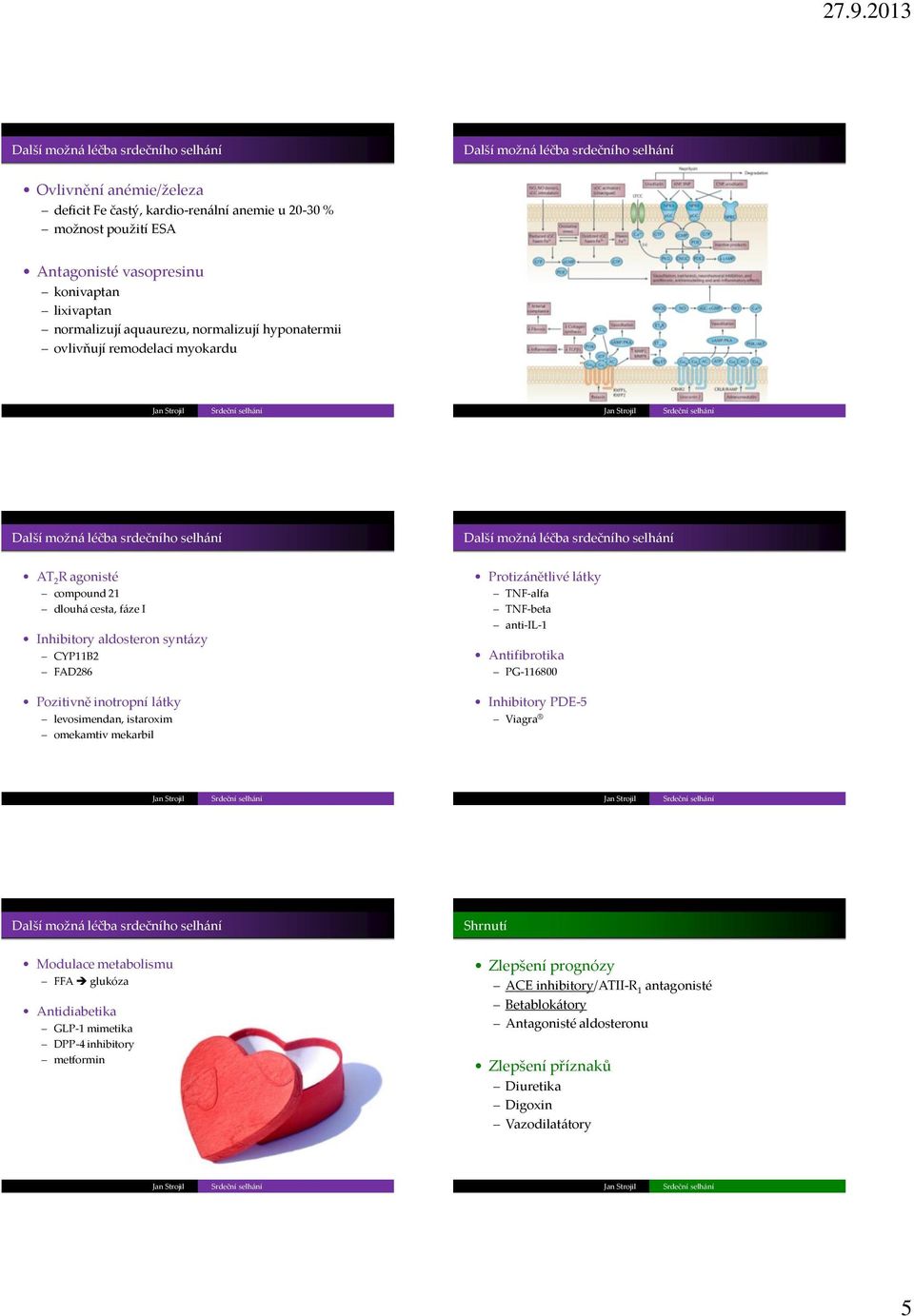 istaroxim omekamtiv mekarbil Protizánětlivé látky TNF-alfa TNF-beta anti-il-1 Antifibrotika PG-116800 Inhibitory PDE-5 Viagra Modulace metabolismu FFA glukóza Antidiabetika GLP-1