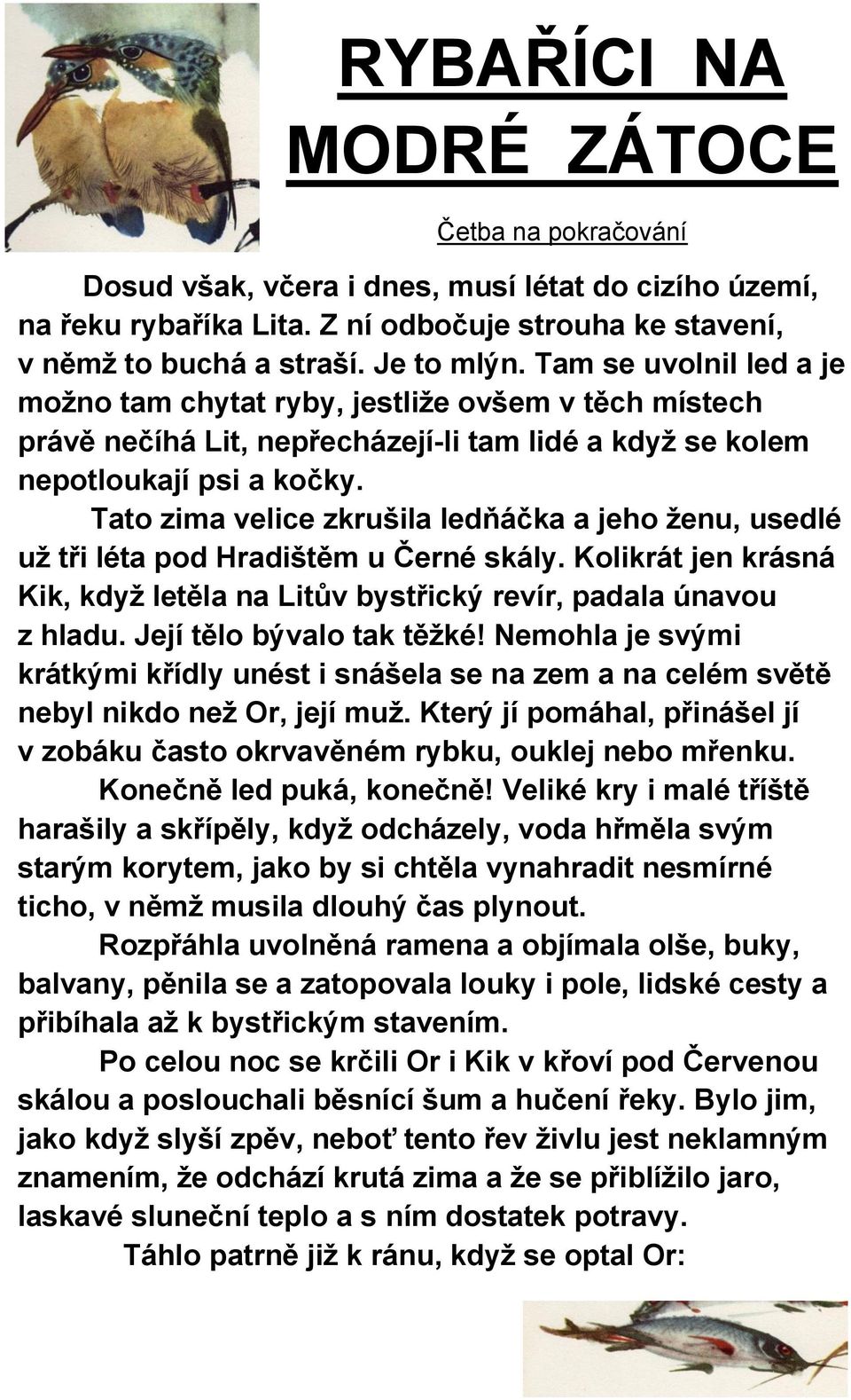 Tato zima velice zkrušila ledňáčka a jeho ženu, usedlé už tři léta pod Hradištěm u Černé skály. Kolikrát jen krásná Kik, když letěla na Litův bystřický revír, padala únavou z hladu.