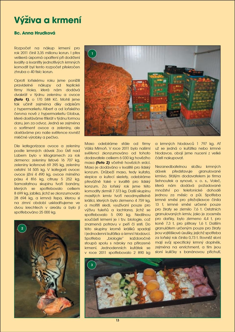 Oproti loòskému roku jsme poníili pravidelné nákupy od teplické firmy Hoka, která nám dodává dvakrát v týdnu zeleninu a ovoce (foto 1), o 170 588 Kè.