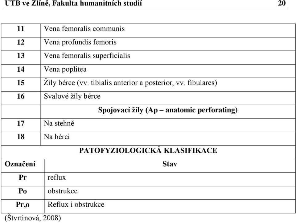 fibulares) 16 Svalové žíly bérce Spojovací žíly (Ap anatomic perforating) 17 Na stehně 18 Na bérci