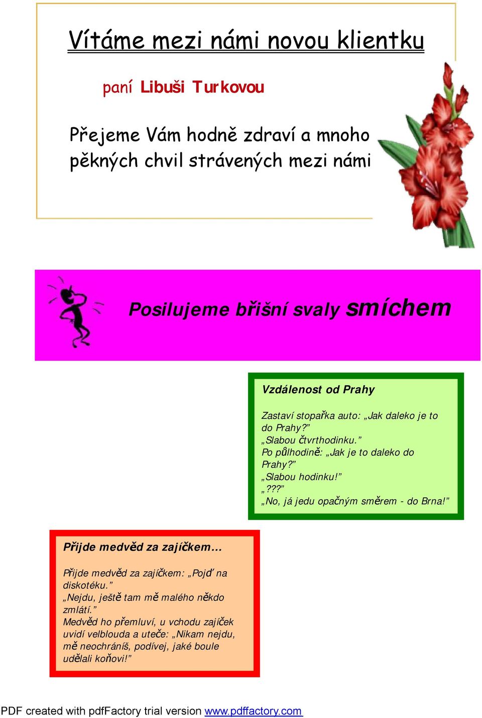 Po půlhodině: Jak je to daleko do Prahy? Slabou hodinku!??? No, já jedu opačným směrem - do Brna!