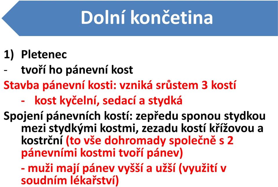 mezi stydkými kostmi, zezadu kostí křížovou a kostrční (to vše dohromady společně s 2