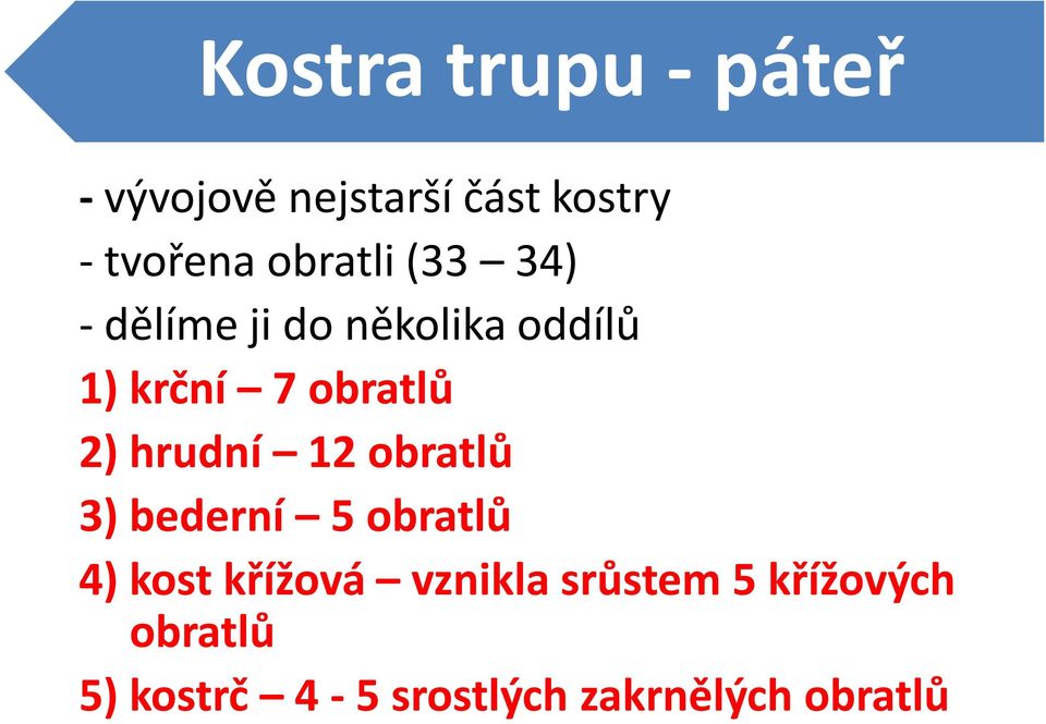 2) hrudní 12 obratlů 3) bederní 5 obratlů 4) kost křížová vznikla