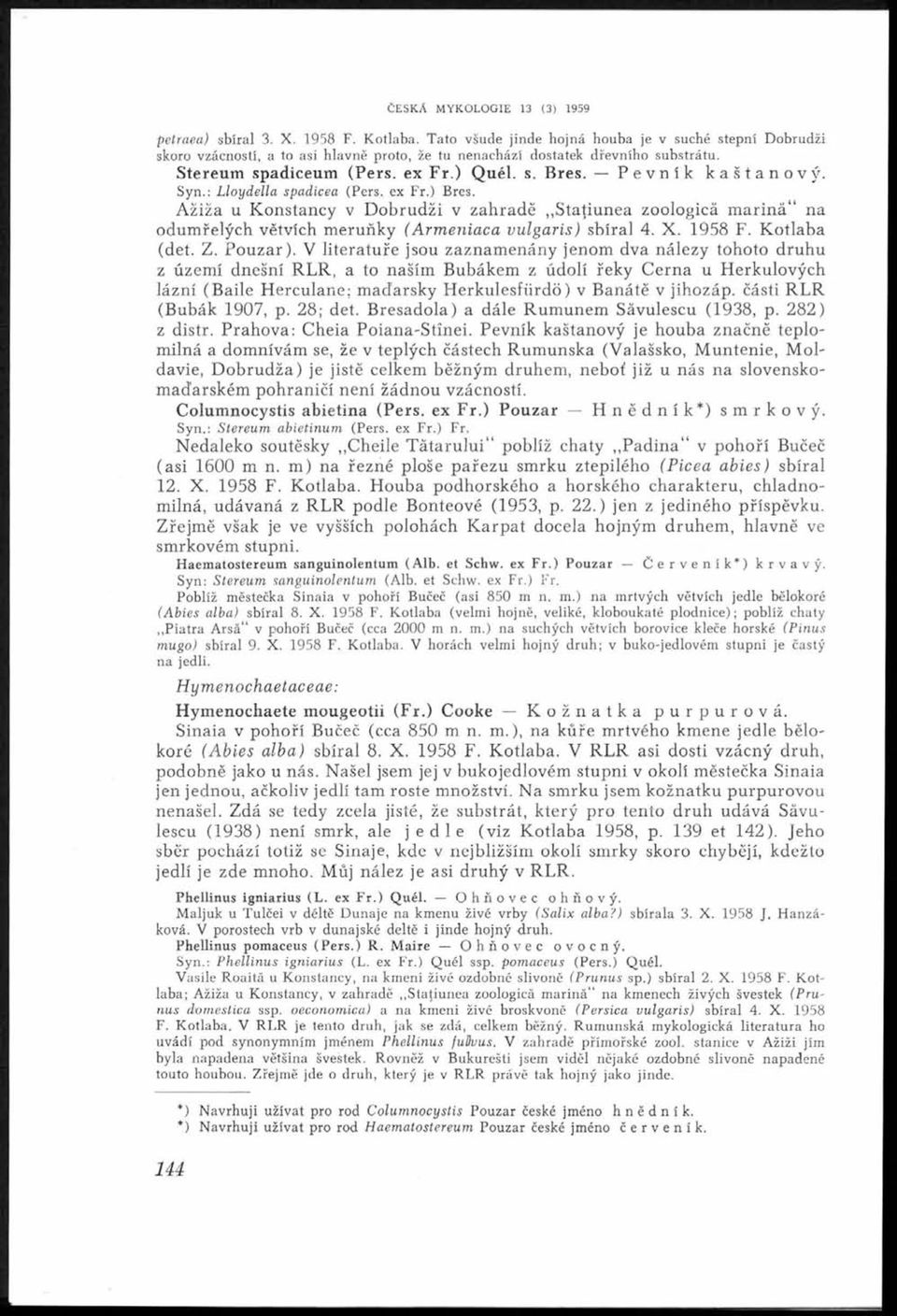 Pevník kaštanový. Syn.: L loydella spadicea (Pers., ex Fr.) Bres. Ažiža u Konstancy v Dobrudži v zahradě Statiunea zoologicá m ariná na odumřelých větvích meruňky (Armeniaca vulgaris) sbíral 4. X.