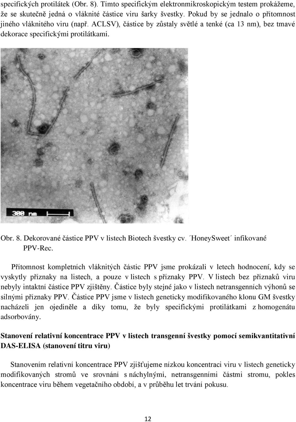 Dekorované částice PPV v listech Biotech švestky cv. HoneySweet infikované PPV-Rec.