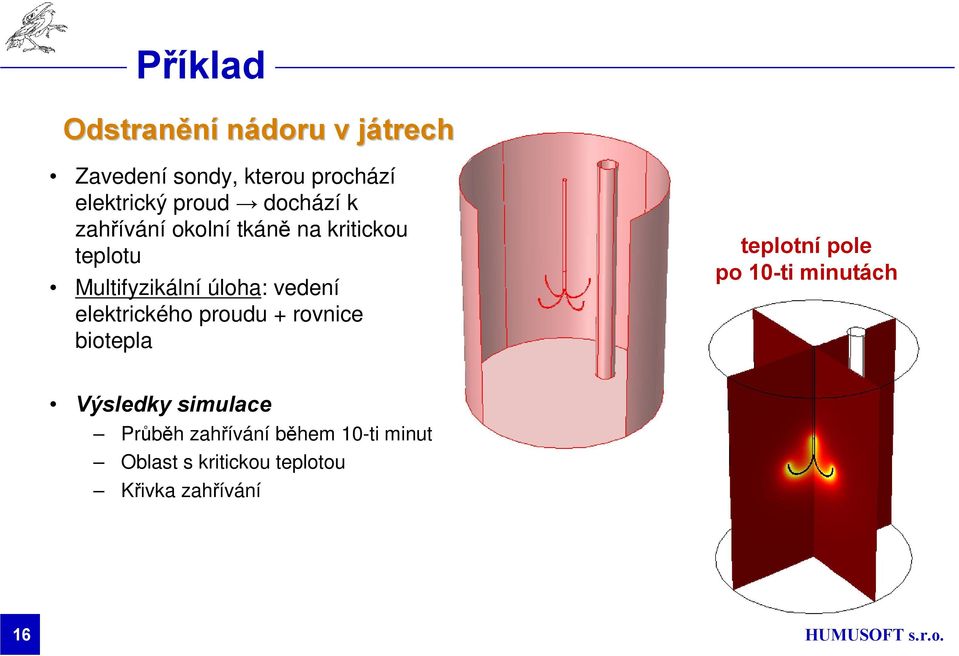 vedení elektrického proudu + rovnice biotepla teplotní pole po 10-ti minutách