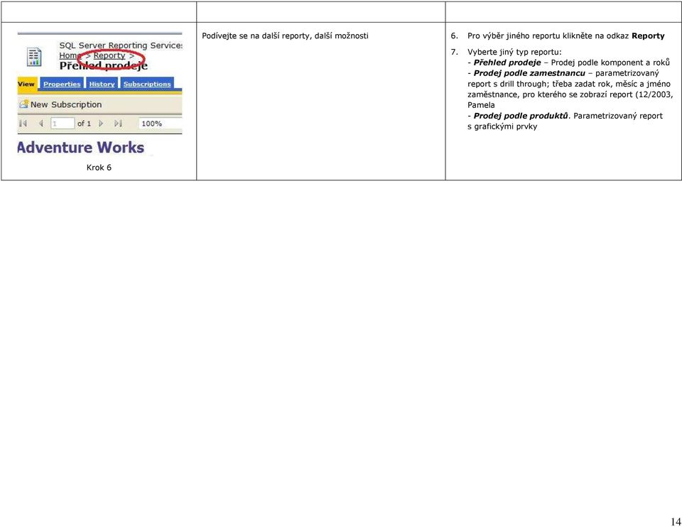 parametrizovaný report s drill through; třeba zadat rok, měsíc a jméno zaměstnance, pro kterého se