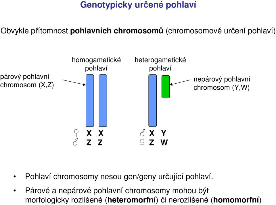 chromosom (Y,W) X X Z Z X Y Z W Pohlaví chromosomy nesou gen/geny určující pohlaví.