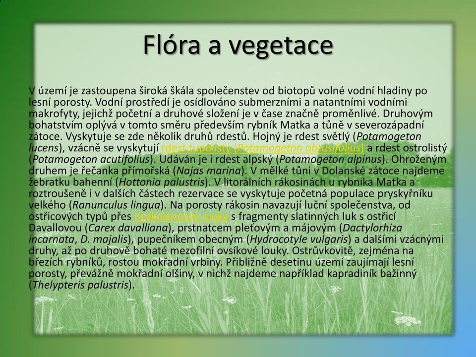 Druhovým bohatstvím oplývá v tomto směru především rybník Matka a tůně v severozápadní zátoce. Vyskytuje se zde několik druhů rdestů.