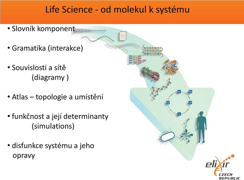 (diagramy ) Atlas topologie a umístění funkčnost a