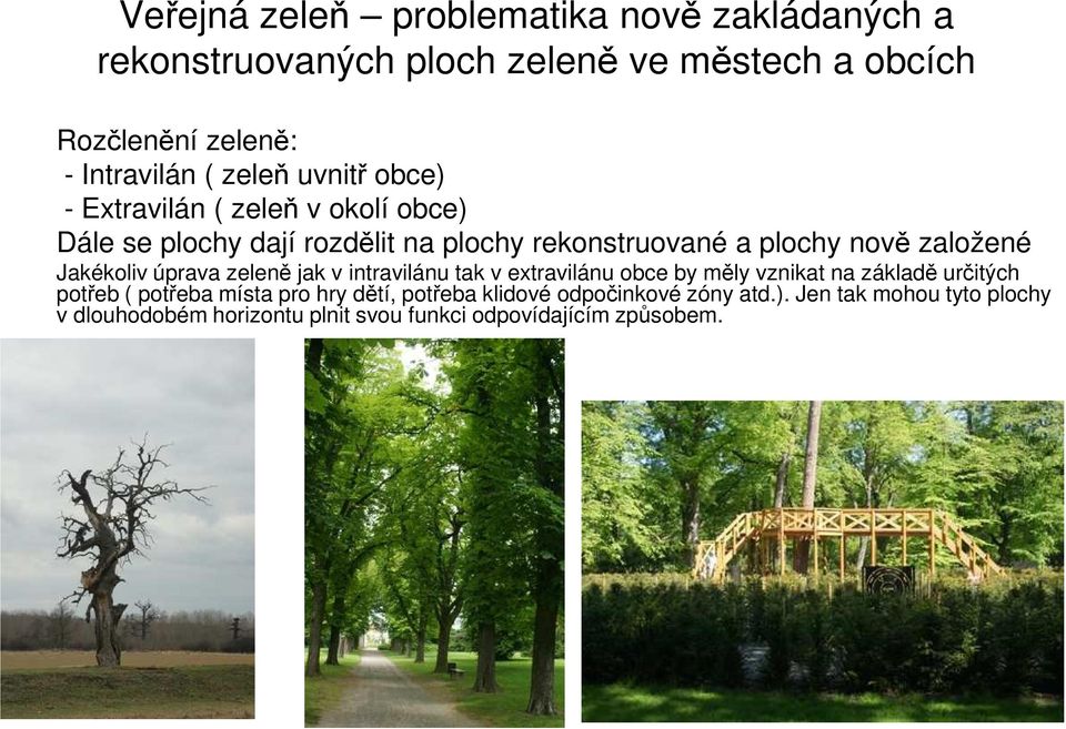 Jakékoliv úprava zeleně jak v intravilánu tak v extravilánu obce by měly vznikat na základě určitých potřeb ( potřeba místa pro hry