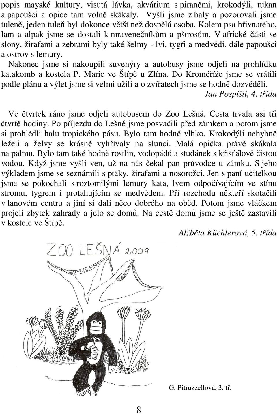 V africké části se slony, žirafami a zebrami byly také šelmy - lvi, tygři a medvědi, dále papoušci a ostrov s lemury.